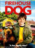 Firehouse Dog