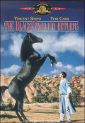 Black Stallion Returns