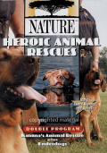 Heroic Animal Rescues