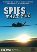 Spies That Fly