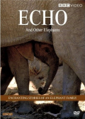Echo & Other Elephants